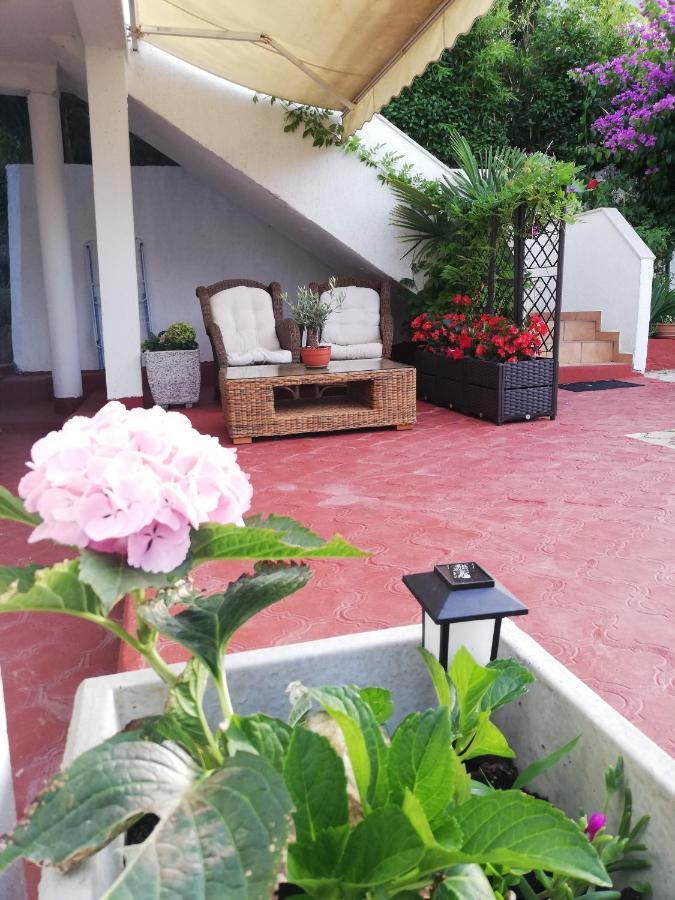 Apartments Poretti For 2,In Center Parking Free In The Yard,6 Min Beach Walk Rovinj Exterior photo