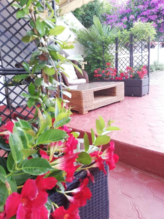 Apartments Poretti For 2,In Center Parking Free In The Yard,6 Min Beach Walk Rovinj Exterior photo