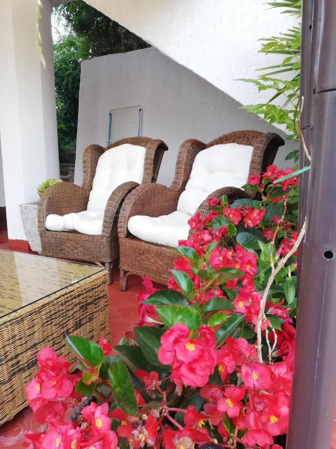 Apartments Poretti For 2,In Center Parking Free In The Yard,6 Min Beach Walk Rovinj Exterior photo