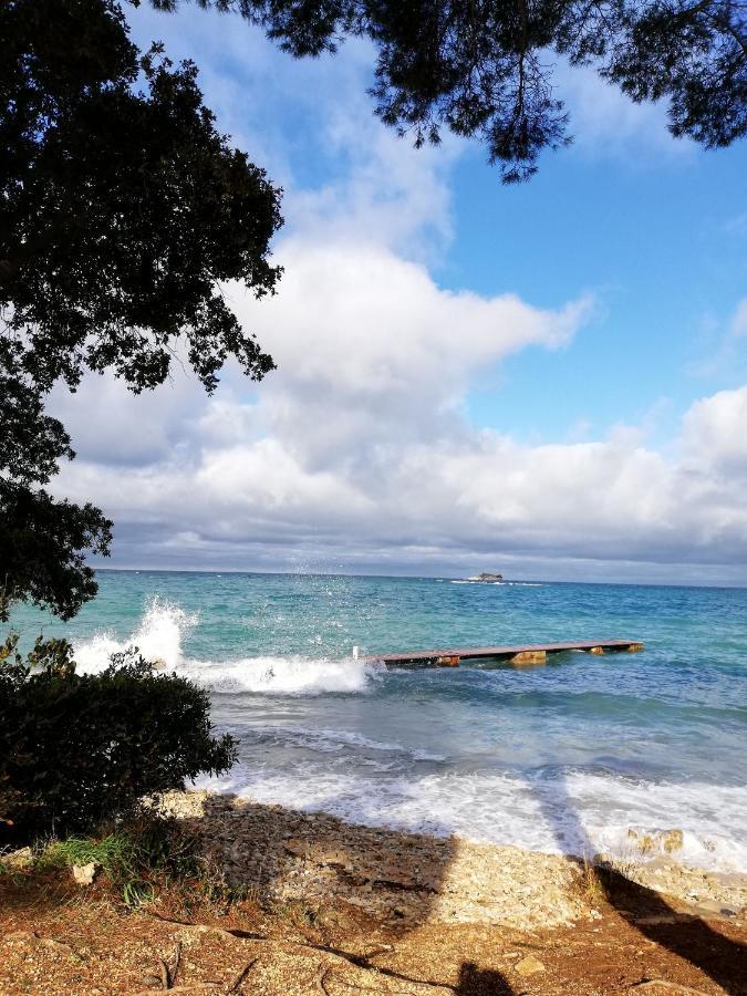 Apartments Poretti For 2,In Center Parking Free In The Yard,6 Min Beach Walk Rovinj Exterior photo