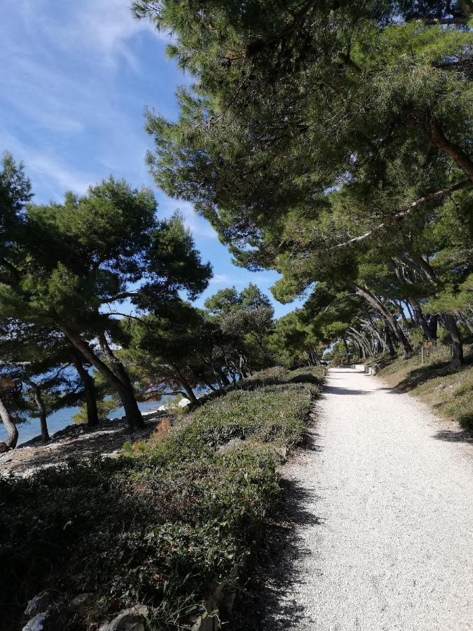 Apartments Poretti For 2,In Center Parking Free In The Yard,6 Min Beach Walk Rovinj Exterior photo