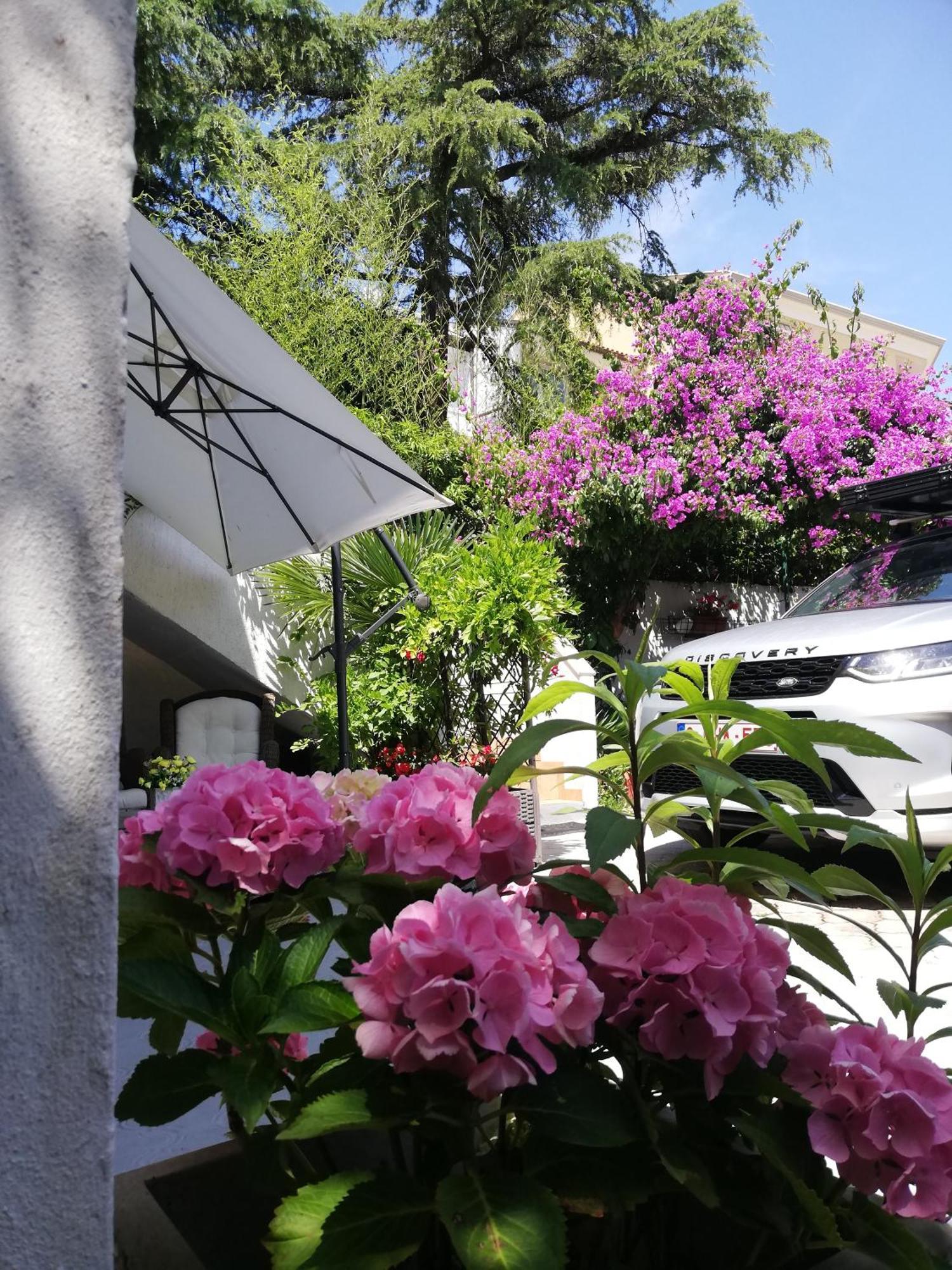 Apartments Poretti For 2,In Center Parking Free In The Yard,6 Min Beach Walk Rovinj Exterior photo