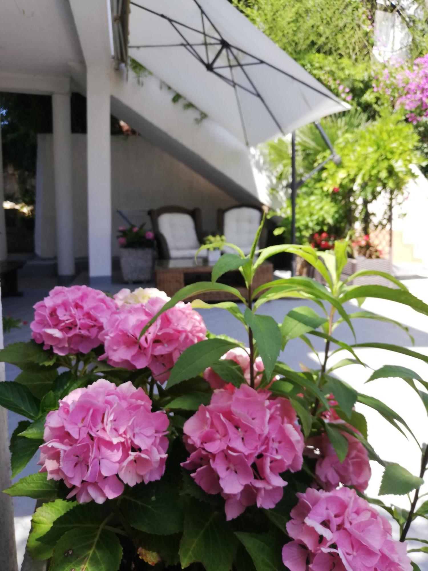 Apartments Poretti For 2,In Center Parking Free In The Yard,6 Min Beach Walk Rovinj Exterior photo
